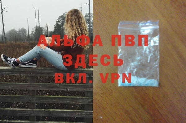 СК Касимов