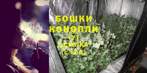 шишки Вяземский