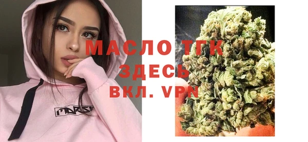 гидра Корсаков
