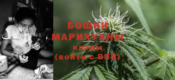 шишки Вяземский