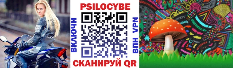 Псилоцибиновые грибы Cubensis мориарти состав Зуевка blacksprut маркетплейс